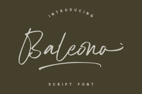 Baleono: The Handwritten Typeface That Elevates Your Craft Brand