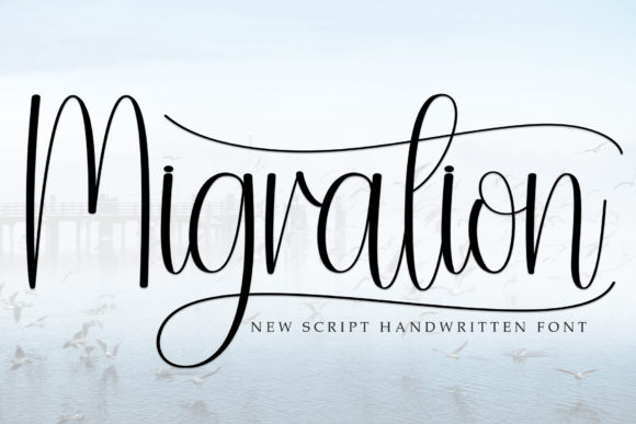 Migration Font for Web Design